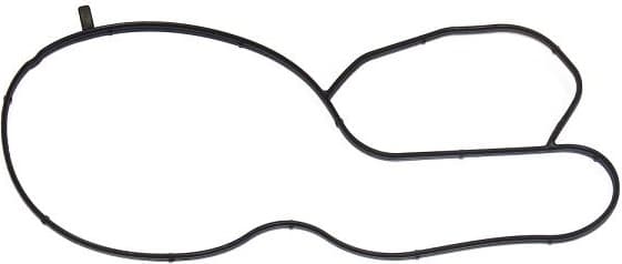 Gasket, water pump 249.160