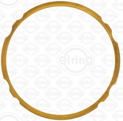 Gasket, cylinder liner 753.719
