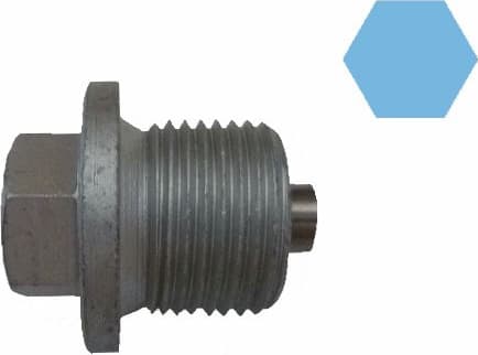 Screw Plug, oil sump 220160S