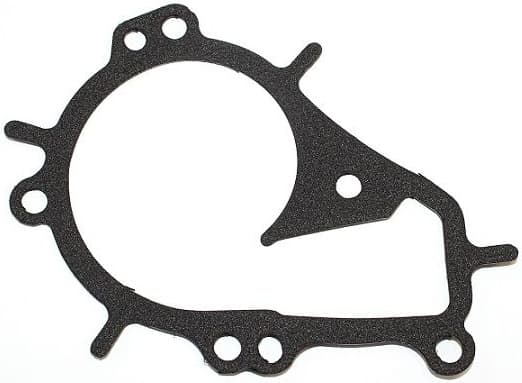 Gasket, water pump 577.610