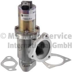 EGR Valve 7.09002.05.0