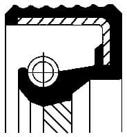 Shaft Seal, manual transmission 12013550B