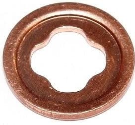 Seal Ring, common rail injector 002.750