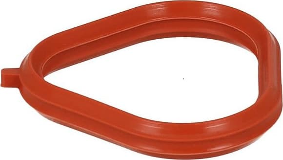 Gasket, intake manifold 527.910