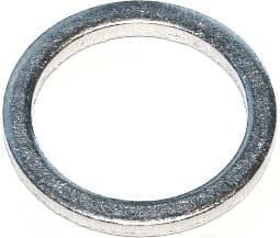 Seal Ring 239.003
