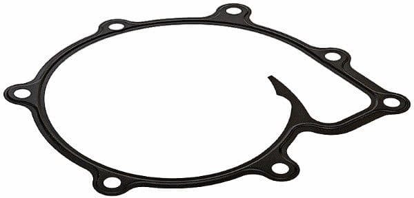 Gasket, water pump 797.930