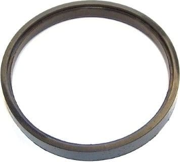 Seal Ring 202.924