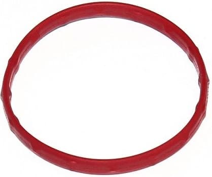 Seal, thermostat 306.360