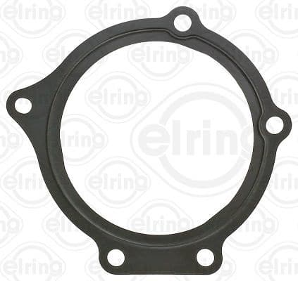 Gasket, water pump 812.350