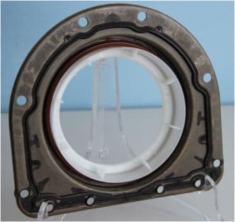 Seal Ring 20034249B