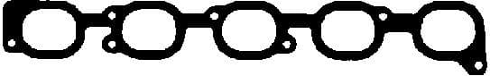 Gasket, intake manifold 450207P