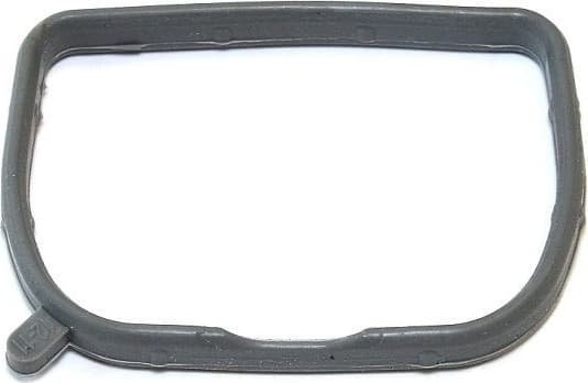 Gasket, intake manifold 573.680