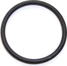 Seal Ring 098.418