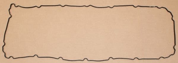 Gasket, oil sump 789.060