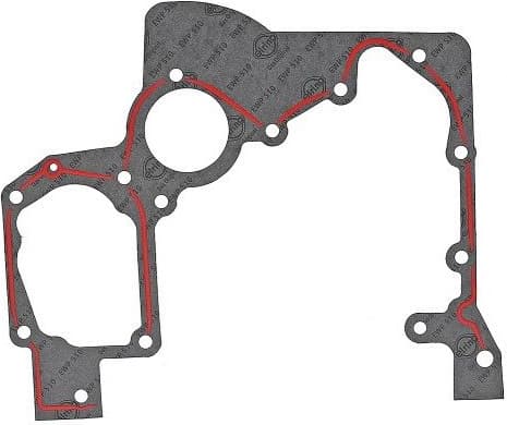 Gasket, timing case 895.289