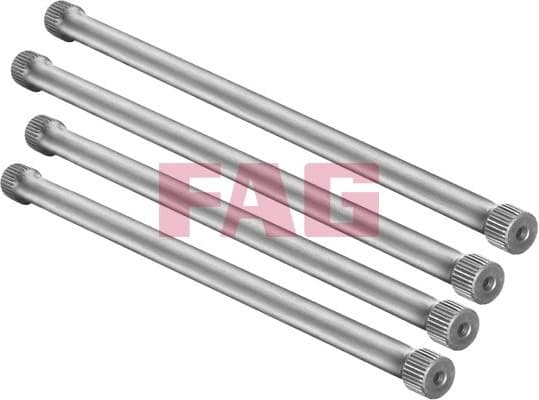Suspension Set, springs 813000130