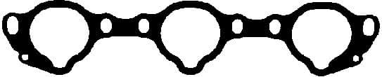 Gasket, intake manifold 450392P