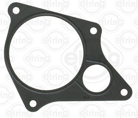 Gasket, EGR valve 299.430