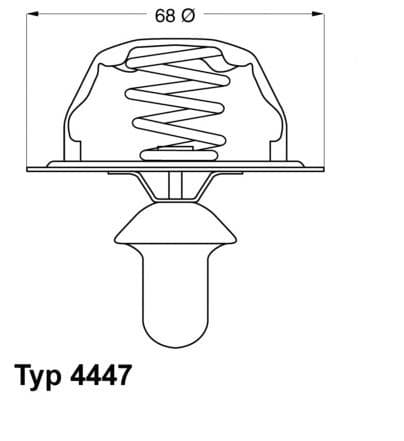  termostatas, aušinimo skystis