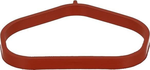 Gasket, intake manifold 701.640