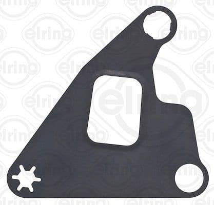Gasket, water pump 731.101