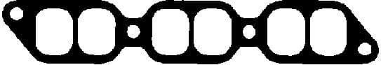 Gasket, intake manifold 450490P