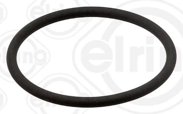 Gasket, EGR valve 889.960