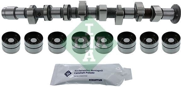 Camshaft Kit 428005130