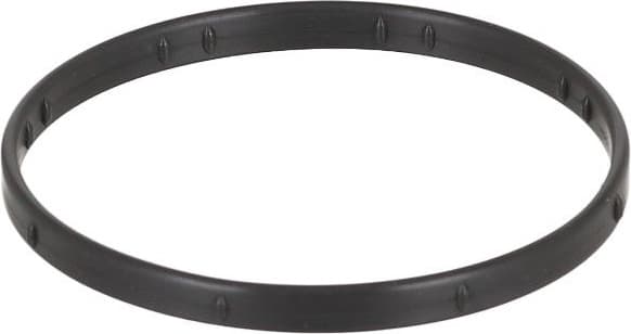 Gasket, intake manifold housing 766.750