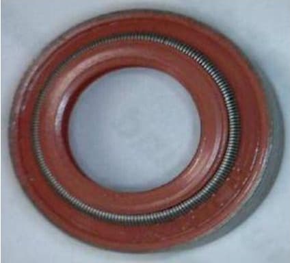 Seal Ring, valve stem 19036763