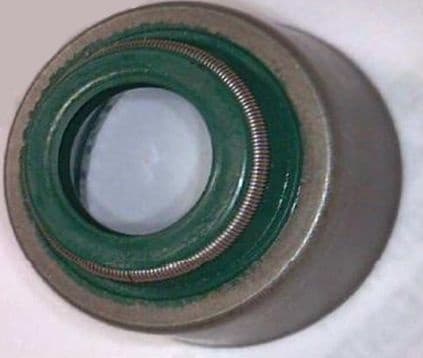 Seal Ring, valve stem 19036761