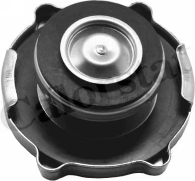 Cap, radiator RC0152 - image 2