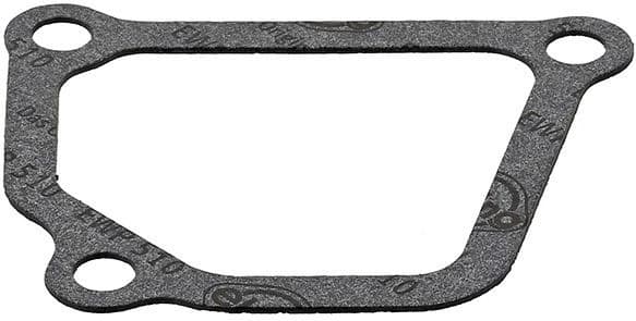 Gasket, coolant flange 775.665