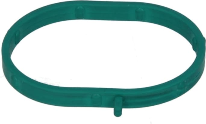 Gasket intake manifold 537.630