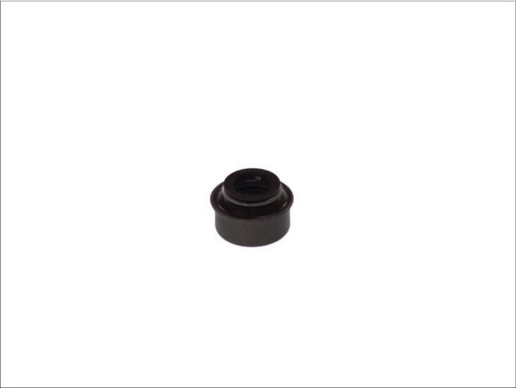 Seal valve stem 582.425