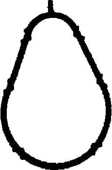 Gasket, intake manifold 450553P
