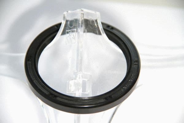 Seal Ring 19036827B