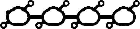 Gasket, intake manifold 450016P