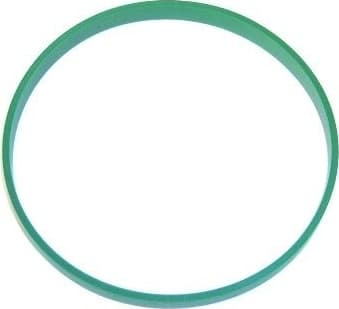 Seal Ring 393.950