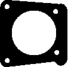 Gasket, exhaust manifold 460206H