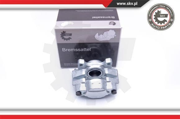 Brake Caliper 45SKV281