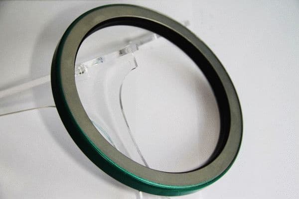 Seal Ring 19036826B