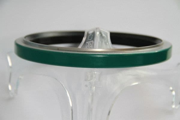 Seal Ring 19036826B - image 2