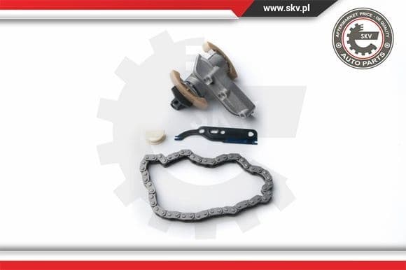 Timing Chain Kit 21SKV010