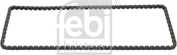 Timing Chain 100071