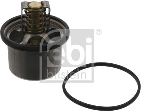 Thermostat, coolant 11496