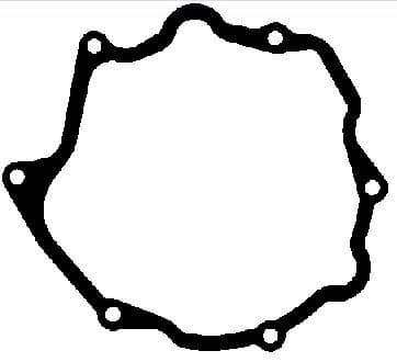 Gasket vacuum pump 646.830