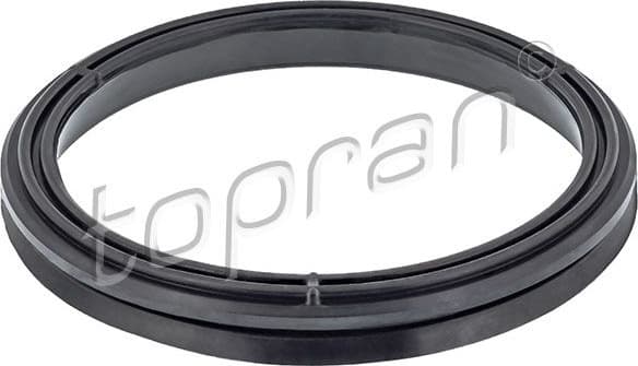 Gasket, timing case 114 961