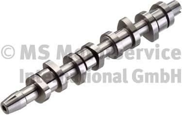 Camshaft 50006304