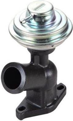 EGR Valve 571822112101